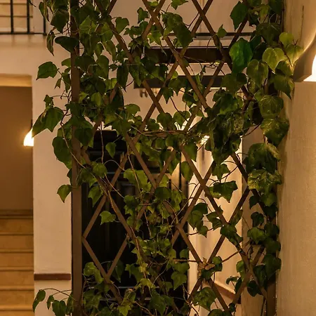 Apart Otel Casa Lavanda By Blossom 3*
